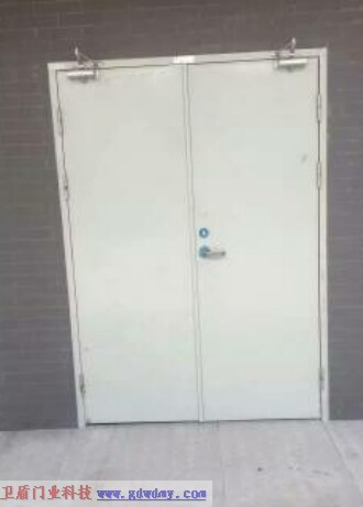 Steel insulated fire door