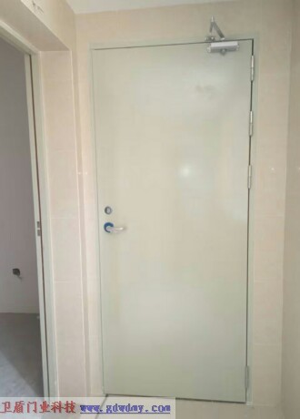 Steel insulated fire door