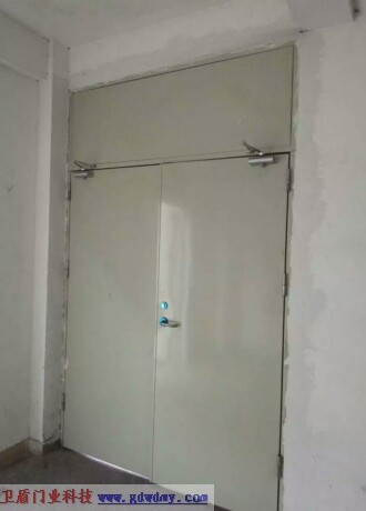 Steel insulated fire door