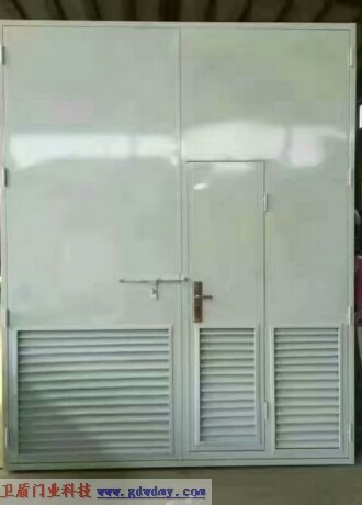 Steel insulated fire door