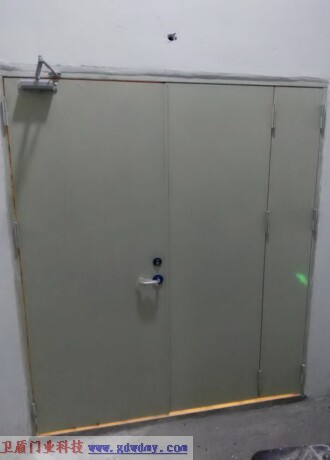 Steel insulated fire door